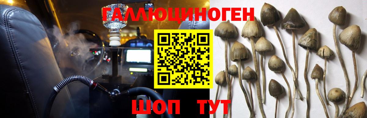 Галлюциногенные грибы прущие грибы  Вход с VPN  Воркута 